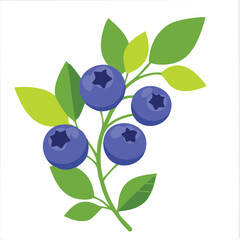 Cute blueberry climbing twig flat vector