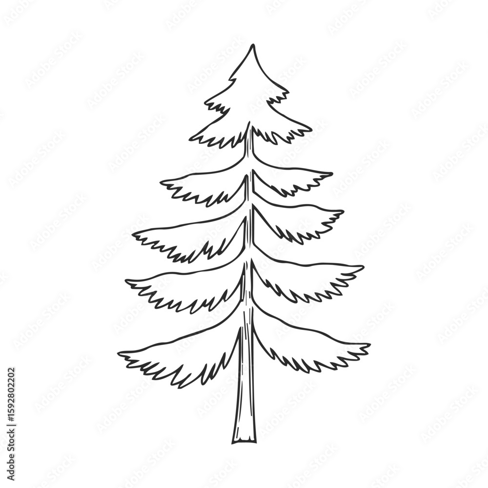 Poster simple line art of a pine tree with layered branches and sharp leaves