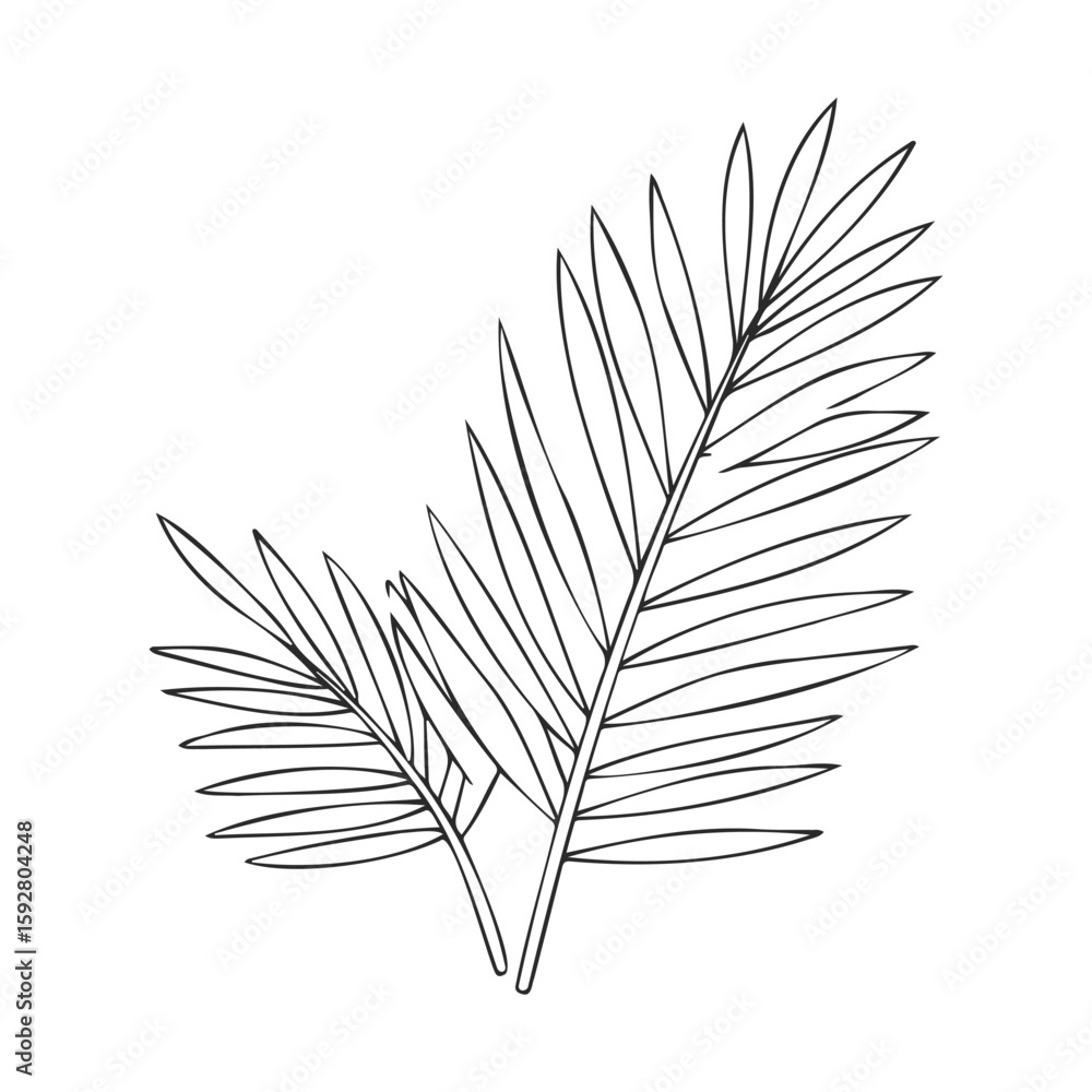 Poster simple line drawing of two overlapping palm leaves on white background