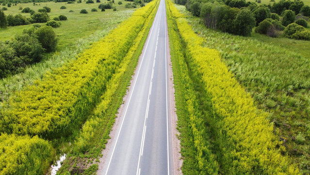 A top view of the road and the side of the road covered with yellow flowers