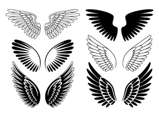 Obraz premium Black and white wing illustrations wings angel