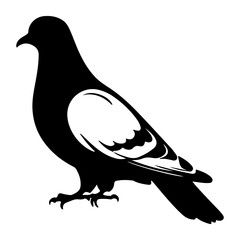 Common Pigeon or Dove Bird Vector Illustration