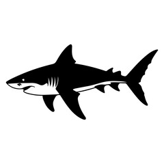 Powerful Shark Marine Predator Vector Illustration