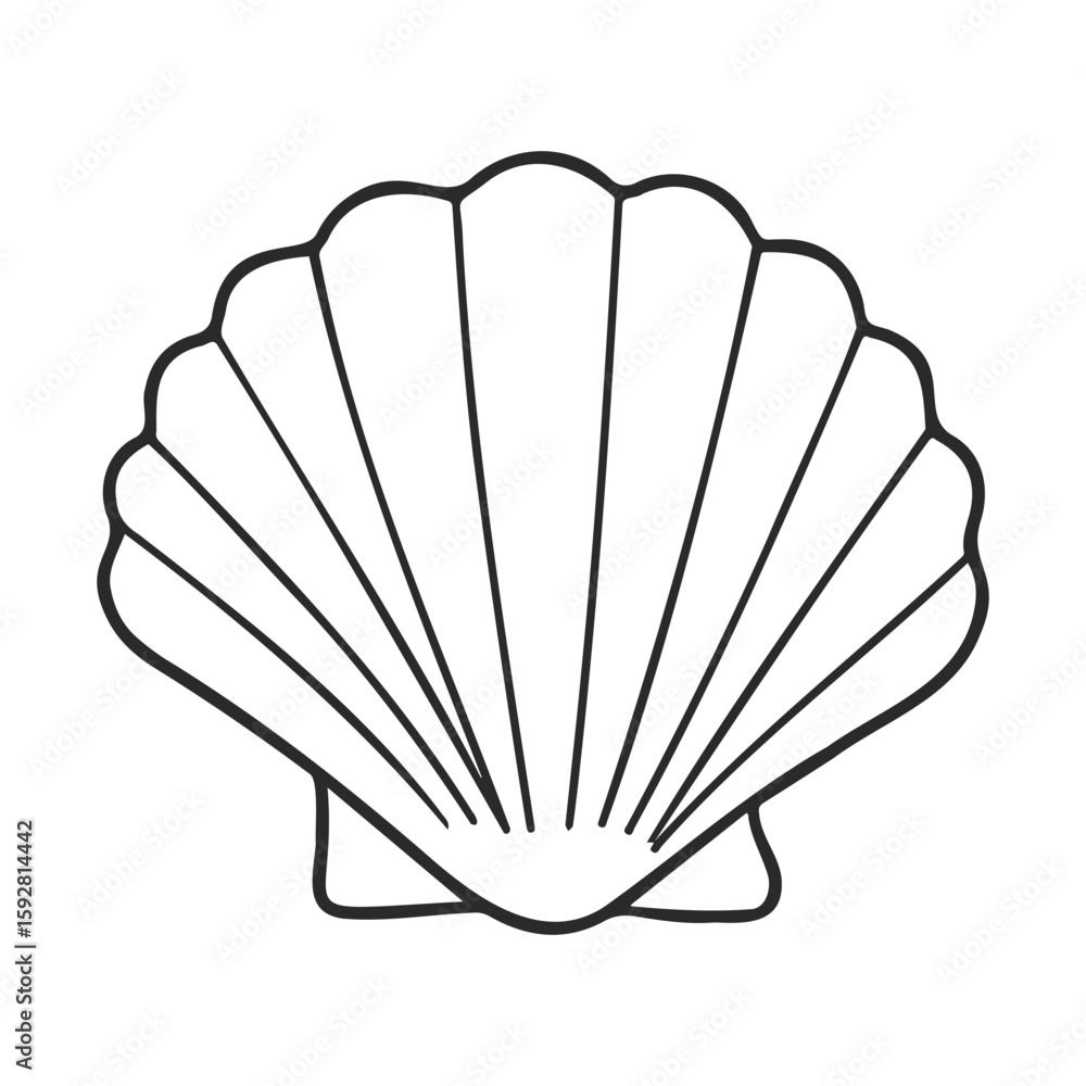 Poster outline of a simple scallop shell design on white background