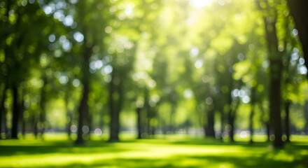 Naklejka premium Sunny Green Park Blurred Background Lush Foliage Trees