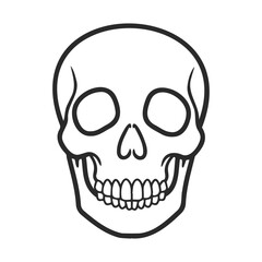 Fototapeta premium Minimalist black and white skull outline drawing