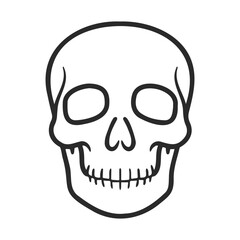 Fototapeta premium Simple outline drawing of a human skull on white background