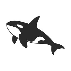 Fototapeta premium Black and white orca silhouette on white background