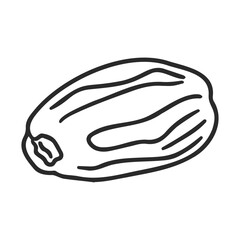 Hand-drawn date fruit on white background with black outline
