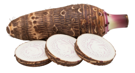 Isolated Taro Root Slices