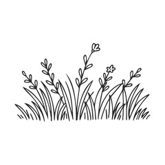 Simple floral grass sketch with leaves and flowers on white background