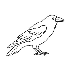 Fototapeta premium Outline drawing of a crow in side view