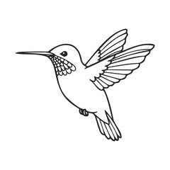Obraz premium Simplistic line art of a hummingbird in flight
