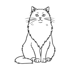 Detailed line drawing of a fluffy sitting cat on white background