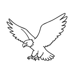 Black and white flying eagle drawing with outstretched wings