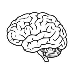 Black and white illustration of human brain