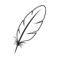 Obraz premium Black and white feather illustration on white background