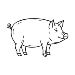 Fototapeta premium Black and white pig illustration showing standing pig with twisted tail and detailed features