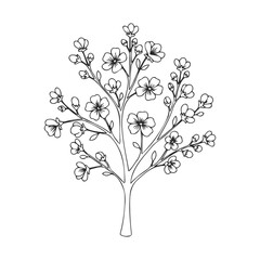 Fototapeta premium Black and white cherry blossom tree drawing on white background