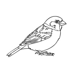 Simple outline of a sparrow perched