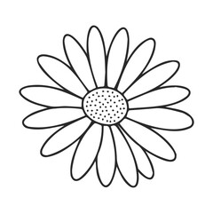 Simple line drawing of a daisy flower with white background