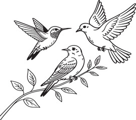 Fototapeta premium Three Birds Perched On Branch Line Art Illustration