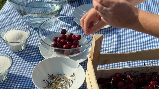 A young Caucasian person prepares cherries at a picnic table, emphasizing summer, freshness, and culinary delight with a gingham pattern and rustic ambiance