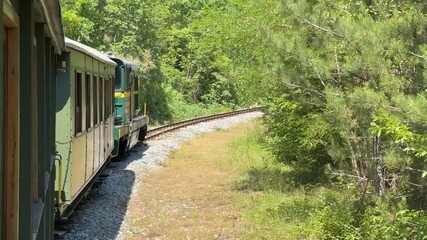 A scenic train ride through lush greenery captures the essence of travel, nature, and adventure, evoking wanderlust and exploration