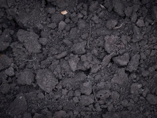 Vibrant Dark Soil with Visible Organic Clumps and Rich Texture