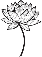 Fototapeta premium Lotus flower silhouette 