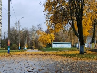 autumn in the city