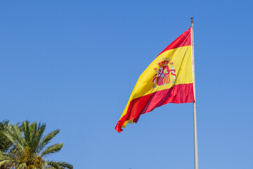 Waving Spanish flag against a bright blue sky, surrounded by green palm leaves, symbolizes national...
