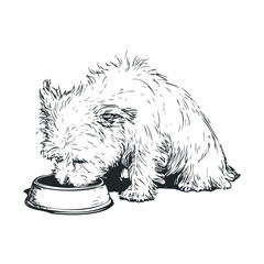 Cute dog eating from bowl in lively home setting during afternoon