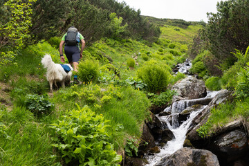 trekking with dog in Rodnei national park Romania