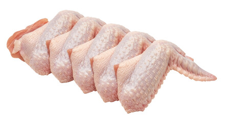 Isolated Raw Chicken Wings