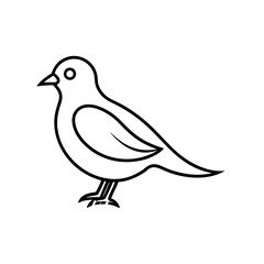 Obraz premium a-bellamy-bird-line-art-on-a-white-background-01.eps
