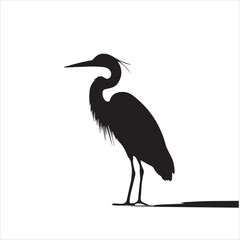 Obraz premium Silhouette of a great blue heron standing on a white background