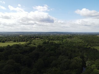 Cloudy Overcast Forest Horizon