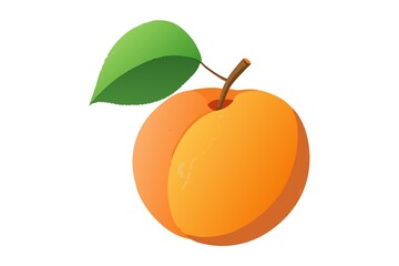 Watercolor Apricot on White Background Sweet Orange Delicious Fruit Art