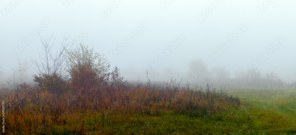 Poster misty autumn landscape with blurred trees and faded grass in the foreground, creating an atmosphere 