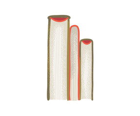 Rolled parchment scrolls in a minimalist style, perfect for antique, magic, or manuscript-inspired visuals.