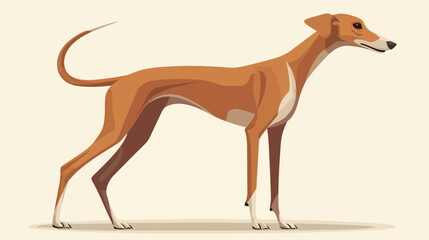 Obraz premium Greyhound Side View Vector Illustration