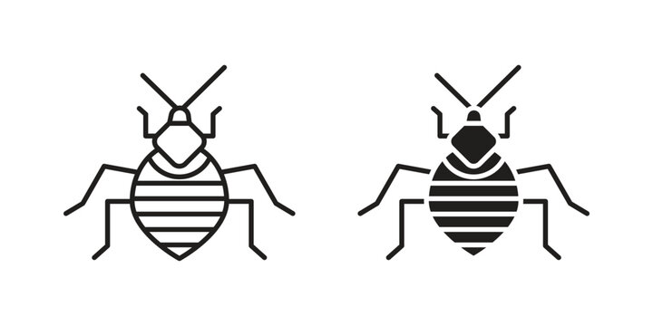 Bedbug icon. concept solid and line style in black. EPS 10