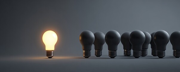 Single illuminated light bulb amongst many dark ones