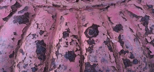 Close-up of an old pink-painted architectural detail with cracked and weathered surface. Ornamental...
