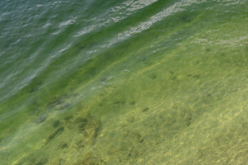 Olhar para o subaquático de água tranparente