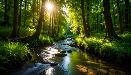 Fototapeta premium Sunlit forest stream (1)