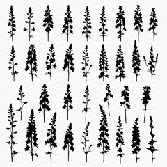 A collection of thirty-two black silhouette illustrations of various flowering plant stems and stalks, arranged in a grid-like pattern on a transparent background.