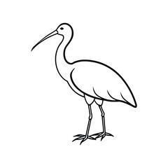 Obraz premium An ibis line art silhouette vector illustration on white background