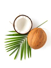Fresh coconut with palm leaf isolated on white background healthy tropical fruit food